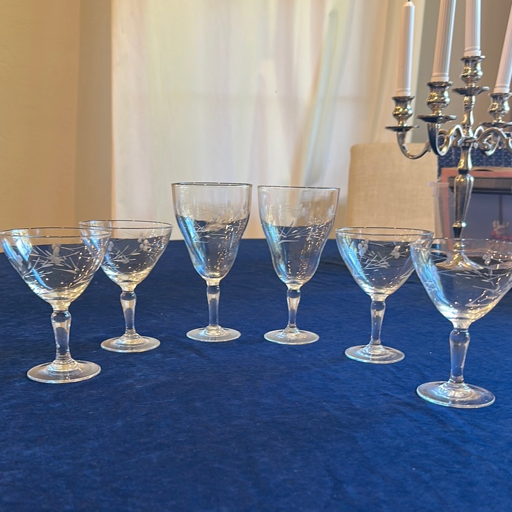 Etched Glass Wine Glass & Goblet Set 6 Pieces